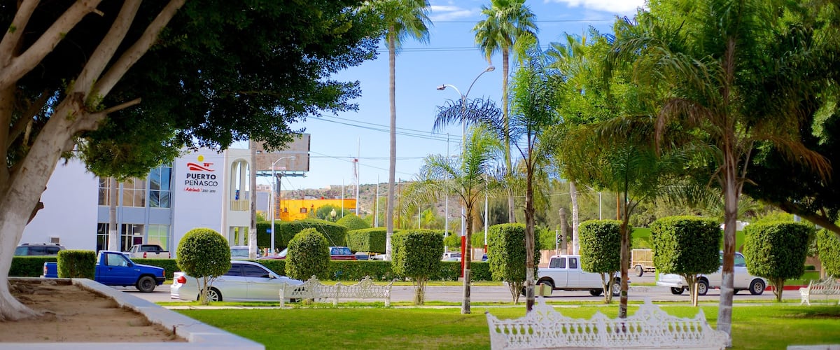 Puerto Peñasco qui includes jardin