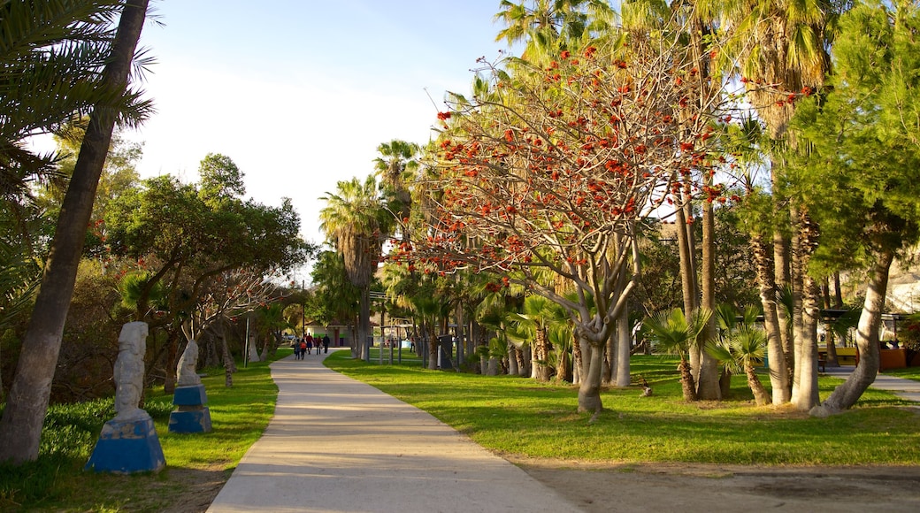 Parque Morelos ofreciendo un jardín