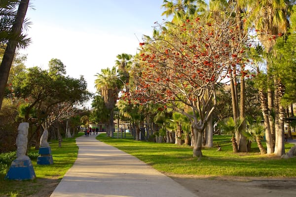Parque Morelos mettant en vedette parc