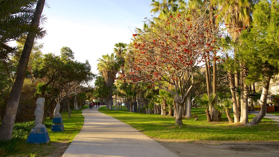 Parque Morelos which includes a park