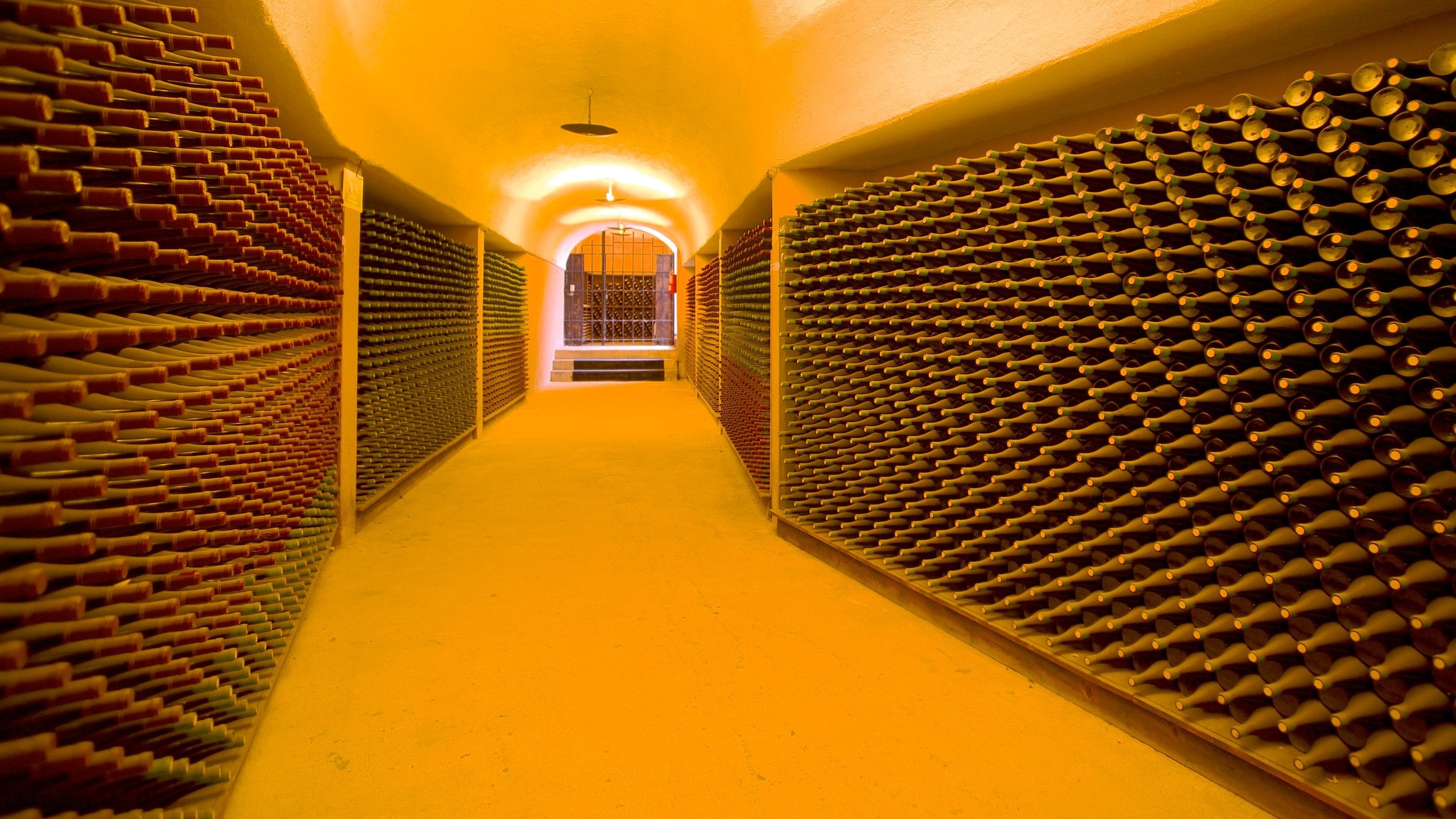 L.A. Cetto Wine Cellar 设有 內部景觀