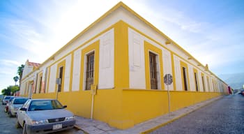 Barrio Antiguo showing street scenes