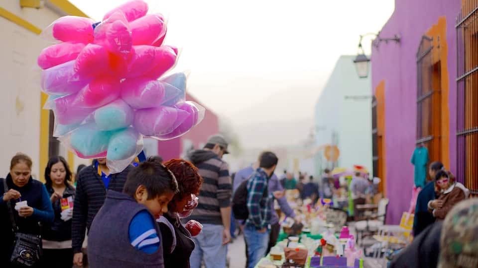 Barrio Antiguo showing food, a city and mist or fog