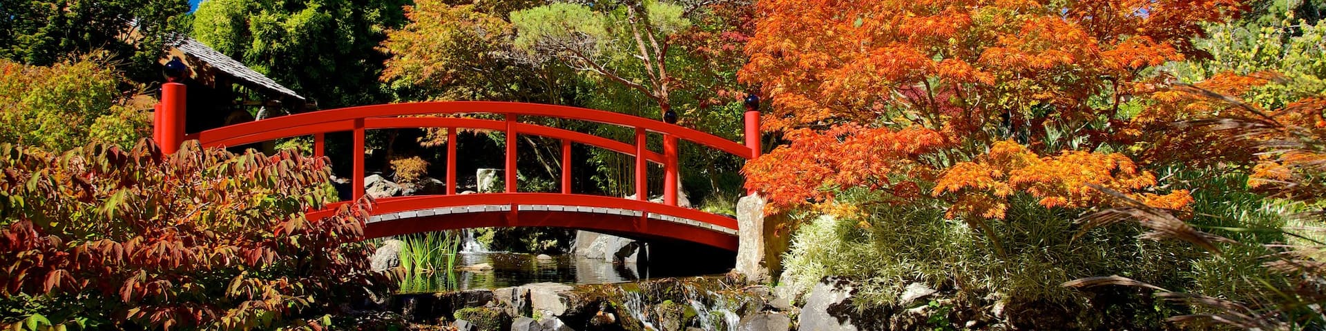 Royal Tasmanian Botanical Gardens featuring a bridge, a pond and a park