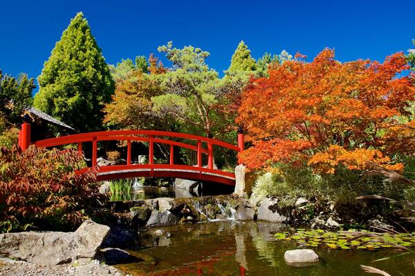 Royal Tasmanian Botanical Gardens mettant en vedette pont, parc et mare