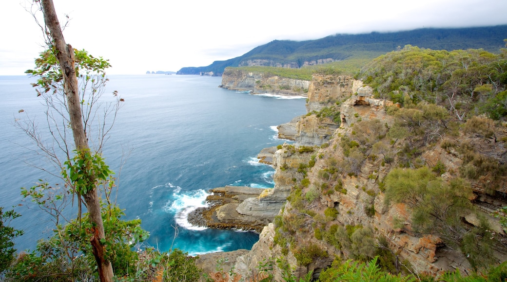 Hobart showing landscape views and rugged coastline