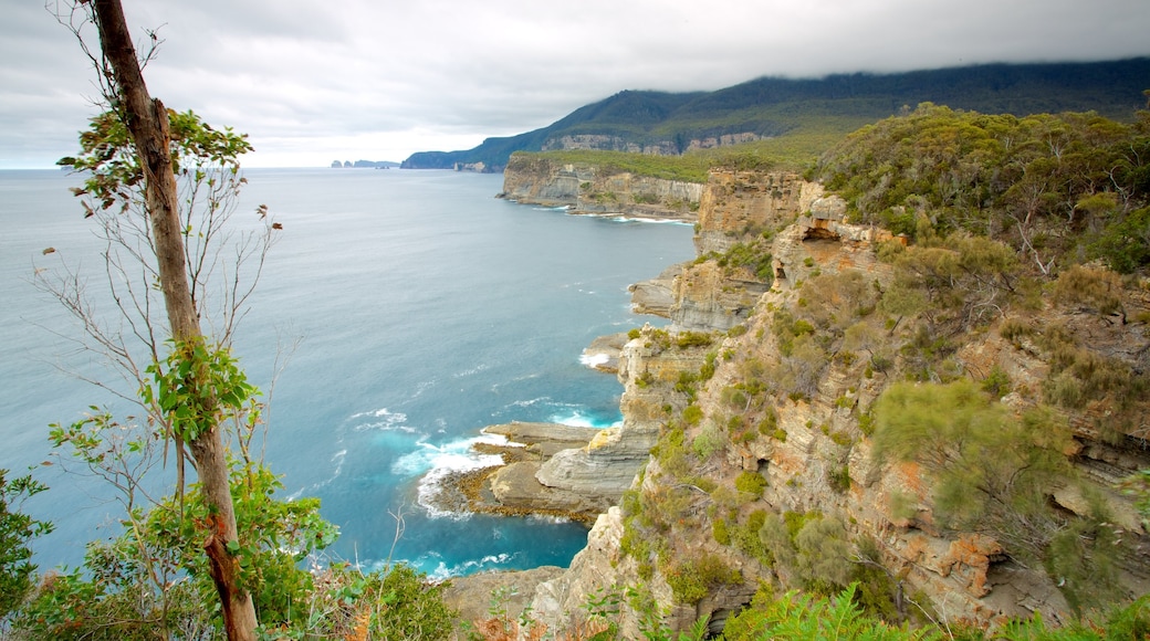 Hobart featuring rocky coastline, general coastal views and mountains