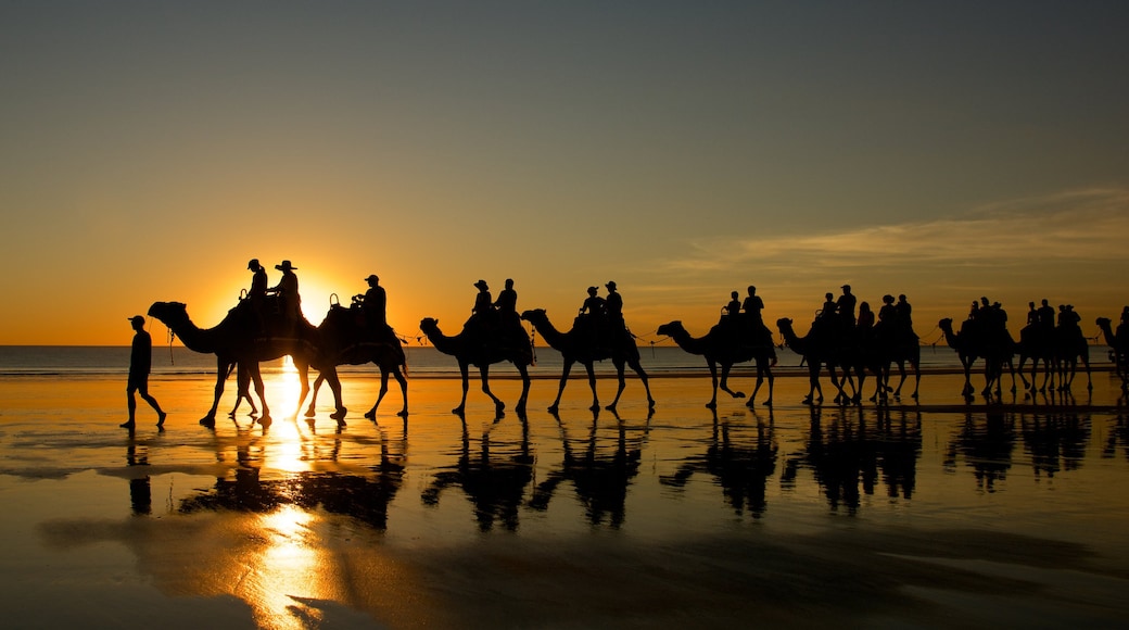 Cable Beach ofreciendo una playa, vistas de paisajes y una puesta de sol