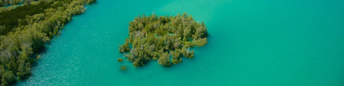 Broome mit einem allgemeine Küstenansicht und Landschaften