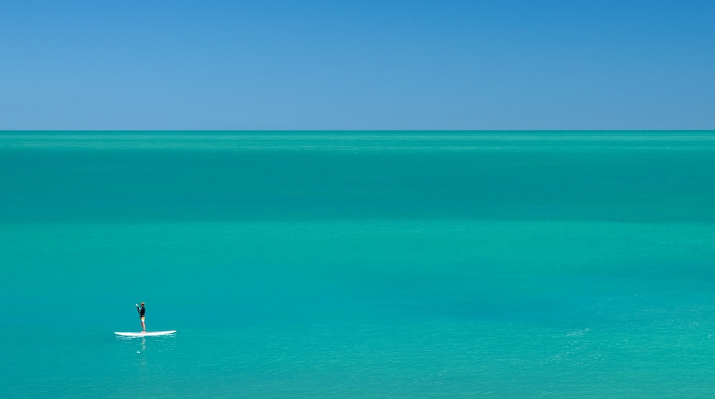 Cable Beach showing tropical scenes, water sports and general coastal views