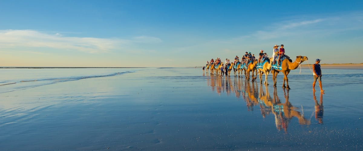 Cable Beach which includes a sandy beach and land animals