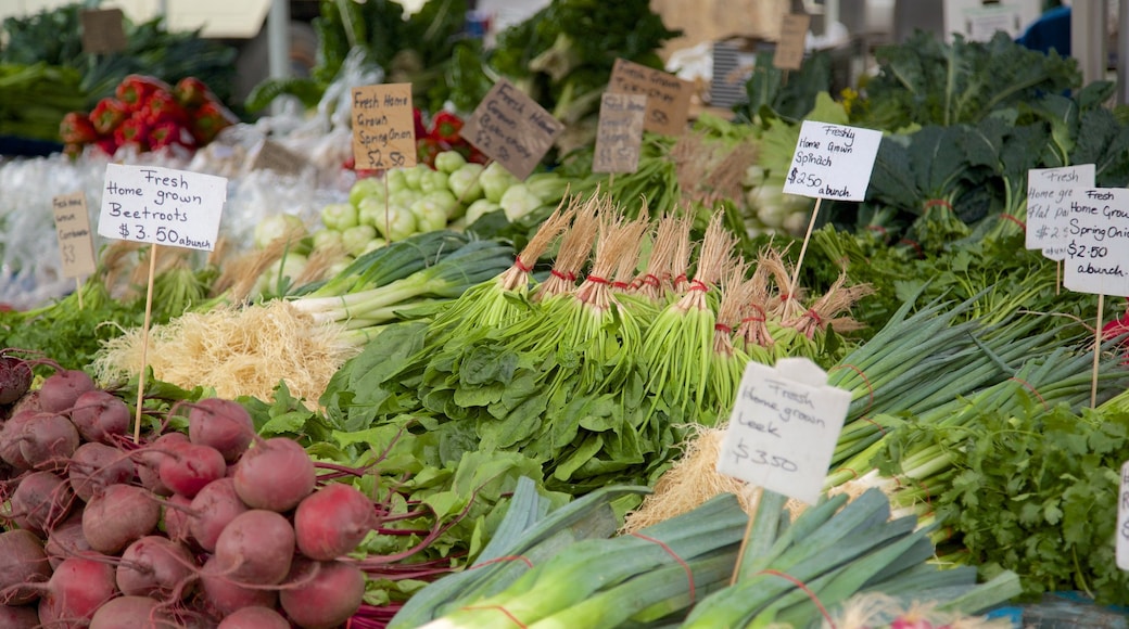 Quartier de Salamanca Place mettant en vedette marchés