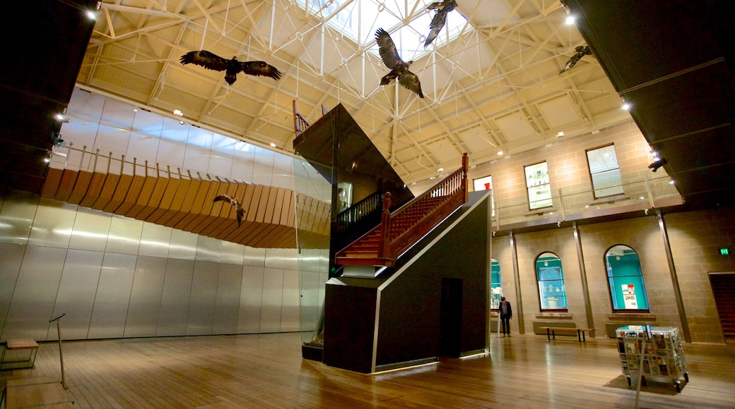 Tasmanian Museum and Art Gallery showing interior views