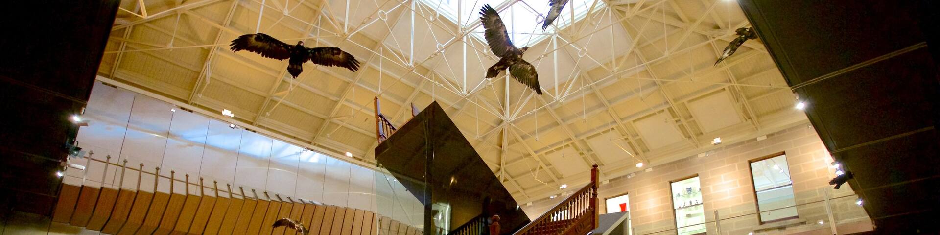 Tasmanian Museum and Art Gallery featuring interior views