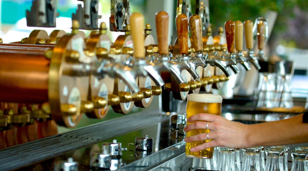 Cascade Brewery which includes a bar, drinks or beverages and interior views