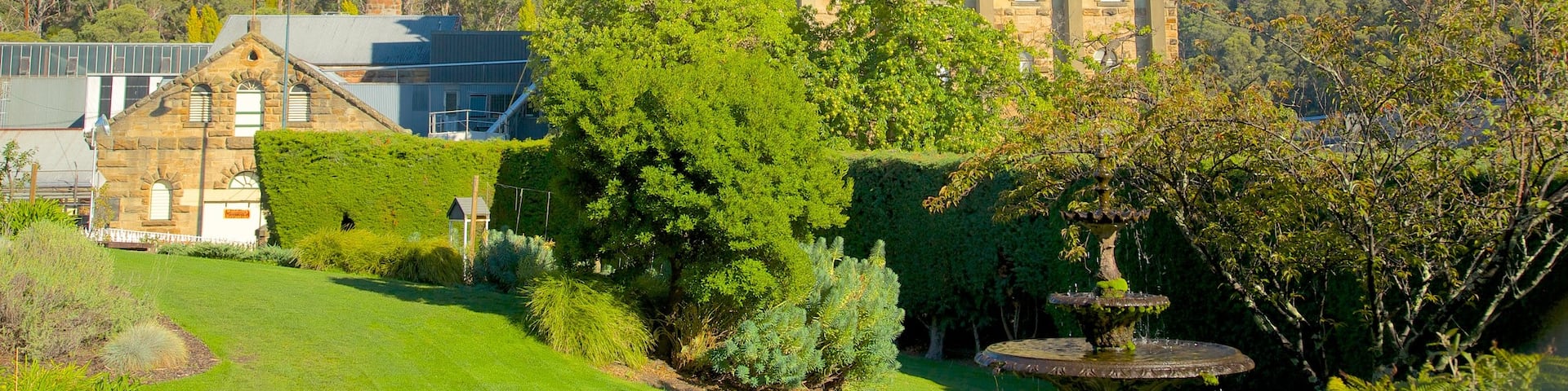 Cascade Brewery showing a garden