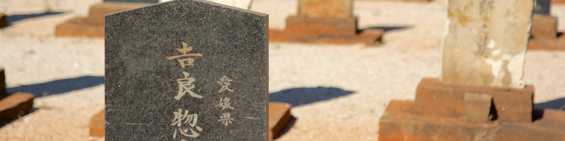Japanese Cemetery showing a cemetery