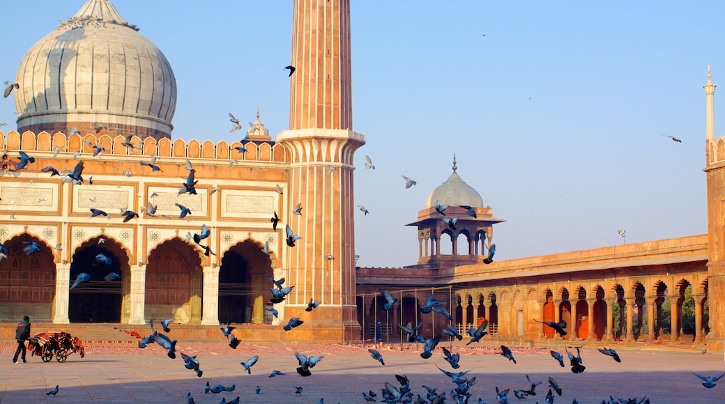 Jama Masjid which includes a square or plaza