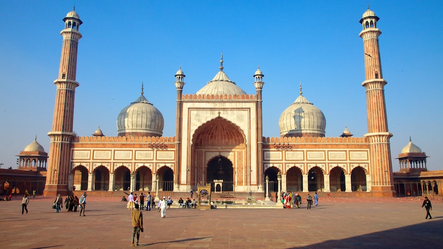 Jama Masjid som viser en plads eller et torv, en moské og historiske bygningsværker