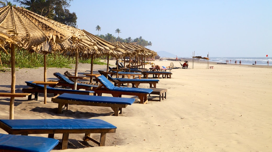 Ashvem Beach showing a sandy beach, tropical scenes and landscape views