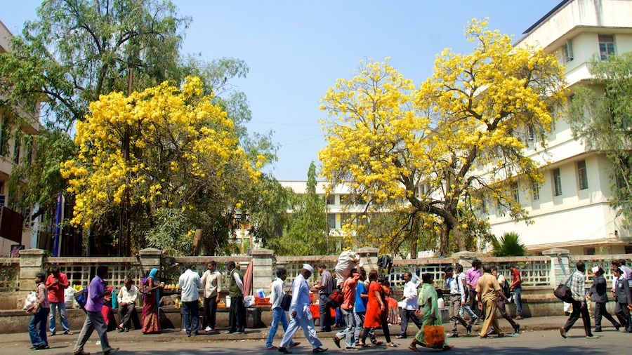 Pune showing street scenes and a city as well as a large group of people