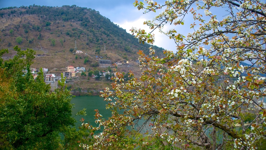 Bhimtal which includes landscape views, general coastal views and flowers