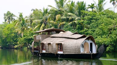 Cochin showing a river or creek and tropical scenes