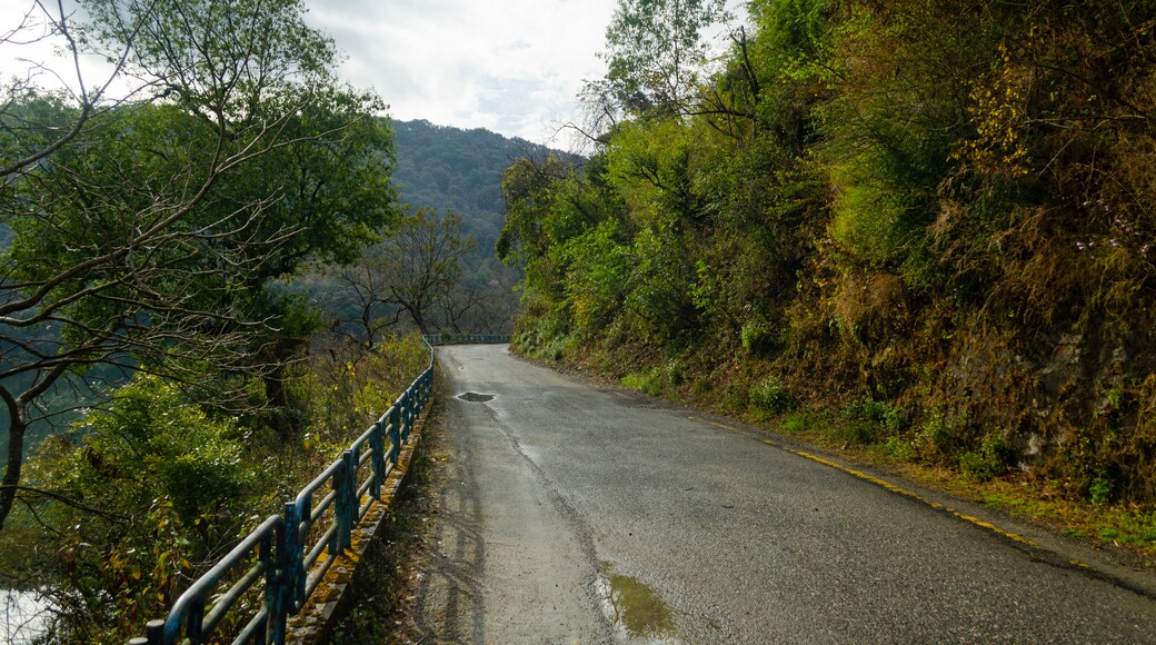 Naukuchiyatal showing landscape views