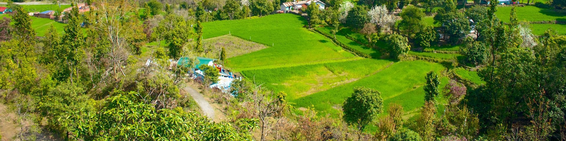 BhujiaGhat which includes farmland