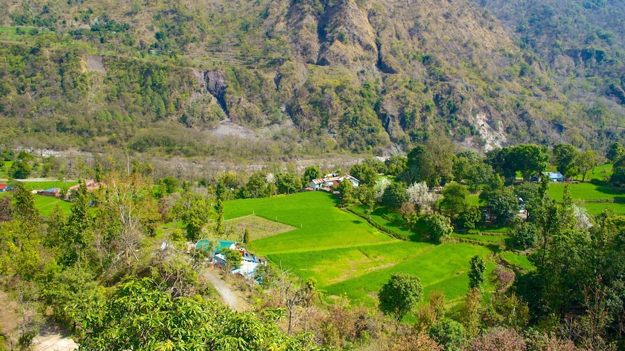 BhujiaGhat ofreciendo granja