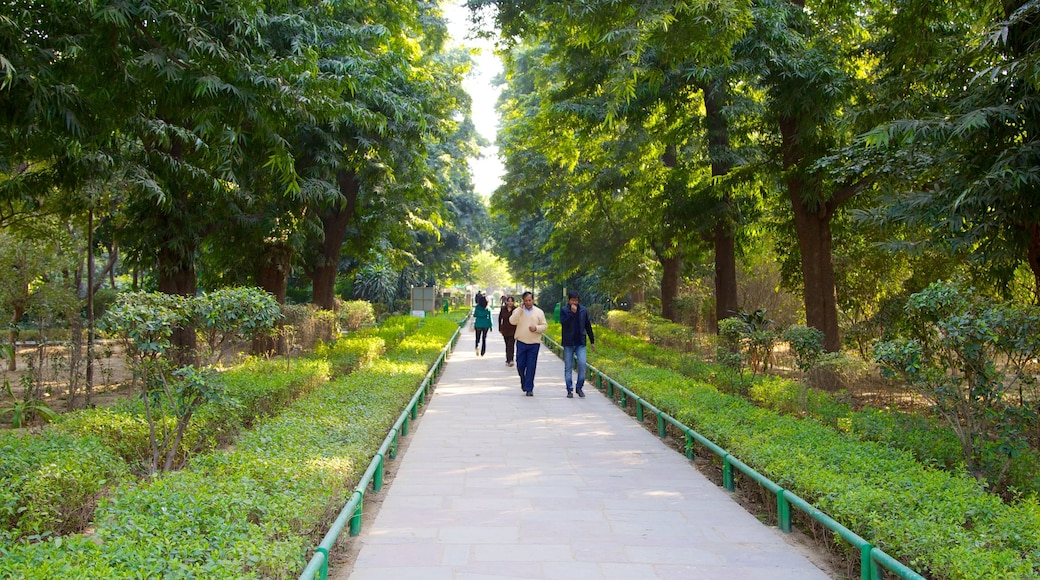 Lodhi Garden featuring a garden as well as a large group of people