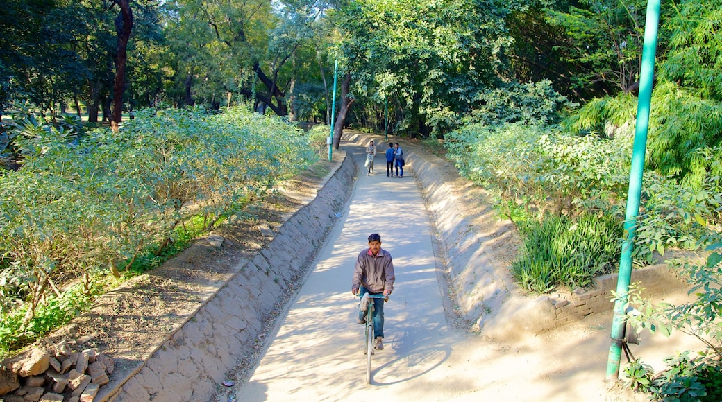 Lodhi Garden which includes cycling and a garden as well as an individual male