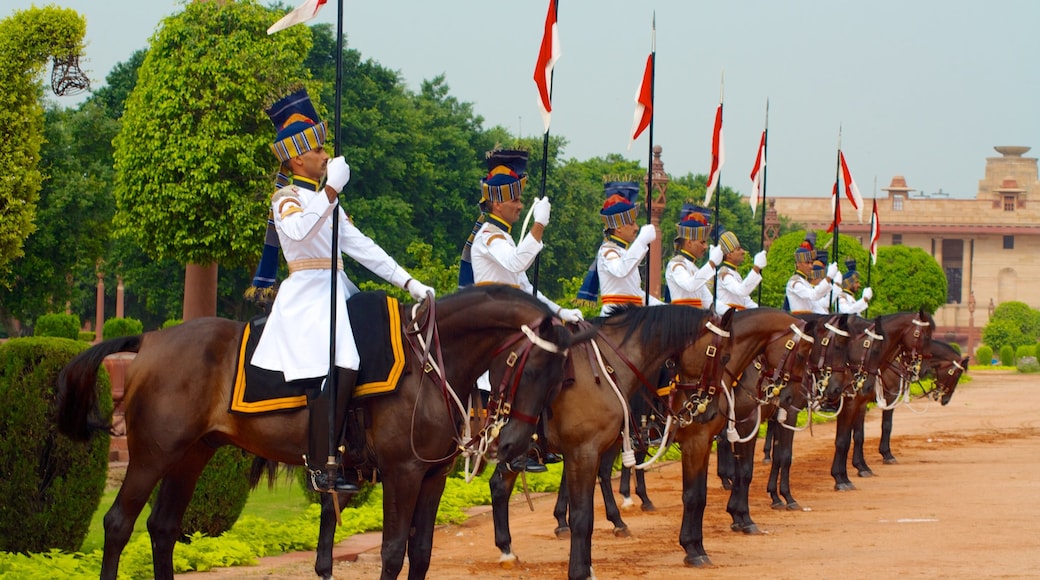 Presidential Palace which includes land animals and horse riding as well as a small group of people