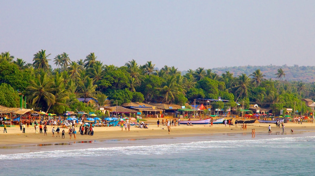 Arambol Beach toont een kuststadje, landschappen en een strand