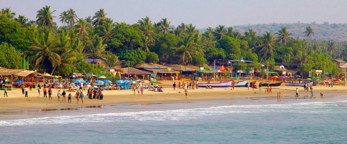 Arambol Beach featuring tropical scenes, a beach and landscape views