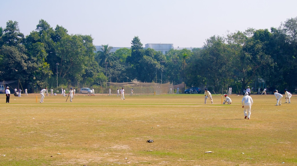 Maidan featuring a sporting event