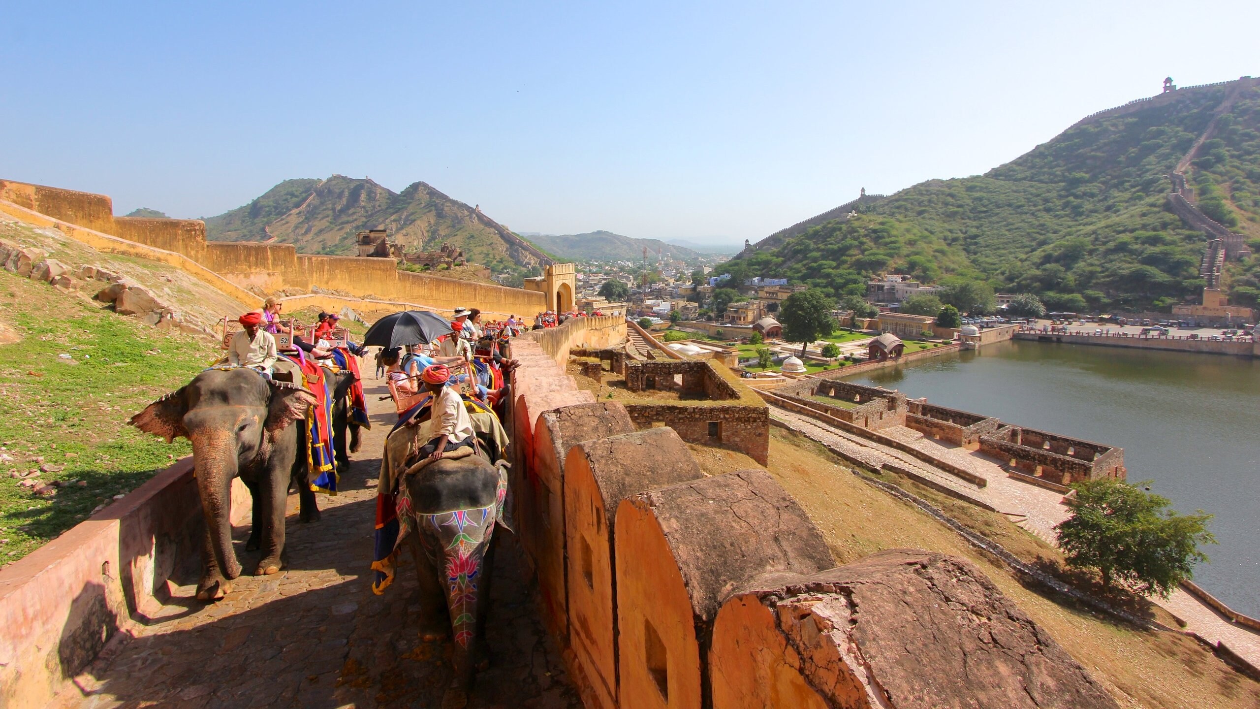 Amber Fort showing building ruins, land animals and landscape views