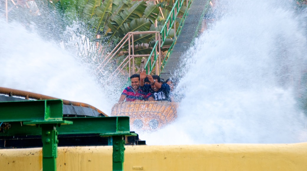 Nicco Park showing a water park, a park and rides