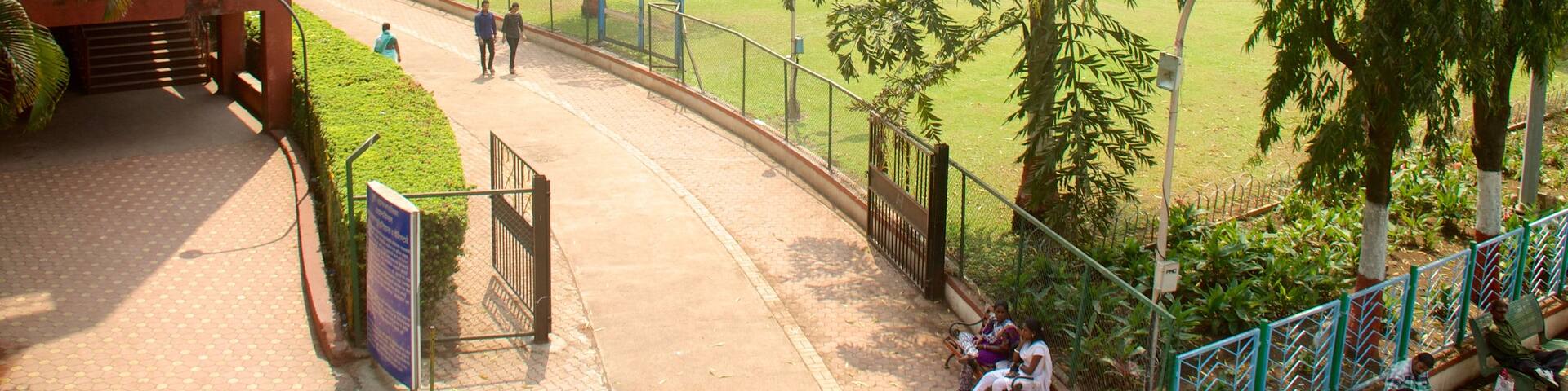Saras Baug showing a garden