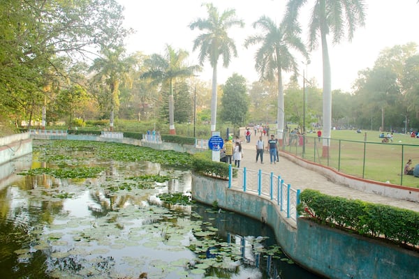 Saras Baug featuring a pond and a garden