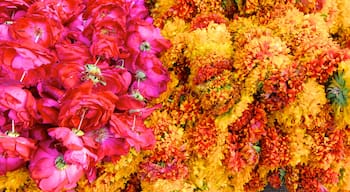 Johri Bazaar montrant fleurs