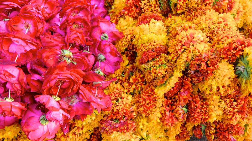 Johari Bazaar mostrando flores