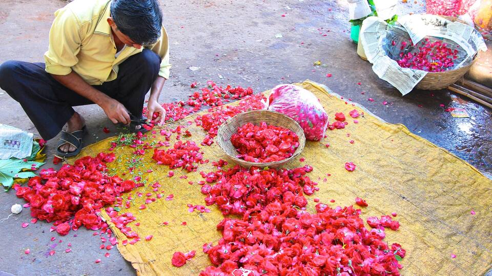 Johari Bazaar caracterizando mercados e flores assim como um homem sozinho