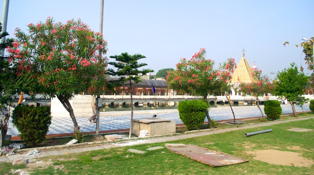 Jalandhar mostrando aspectos religiosos y un templo o lugar de culto