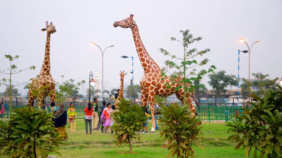 Kolkata showing art, a garden and outdoor art