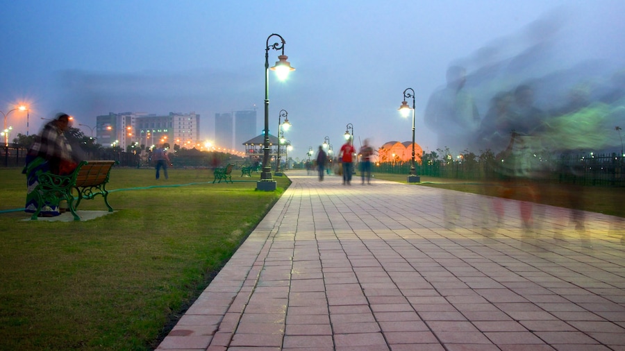 Calcuta mostrando una ciudad, un jardín y escenas nocturnas
