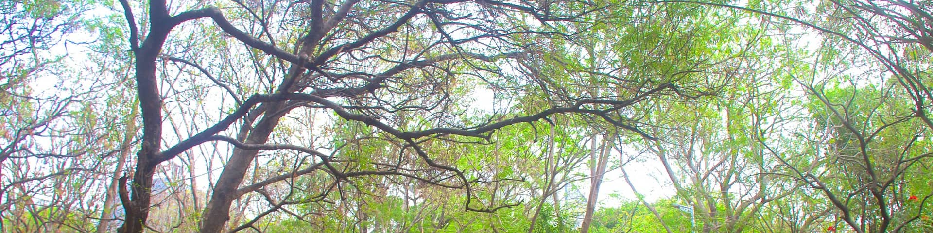 Pune das einen Park und Landschaften