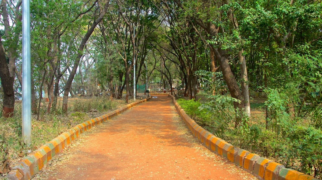 Pune which includes landscape views and a park