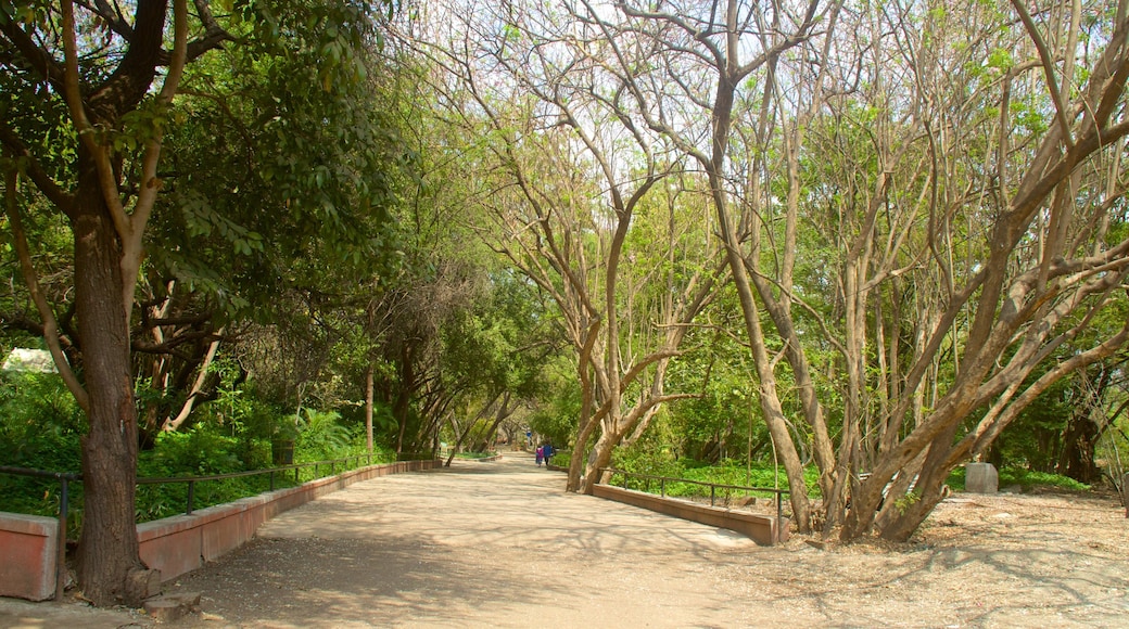 Puna caracterizando um jardim