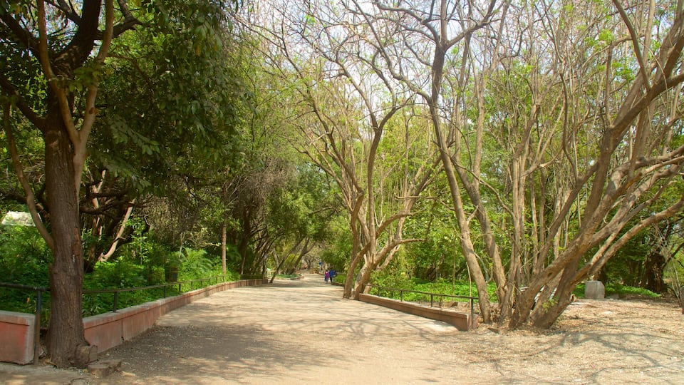 Pune inclusief een tuin